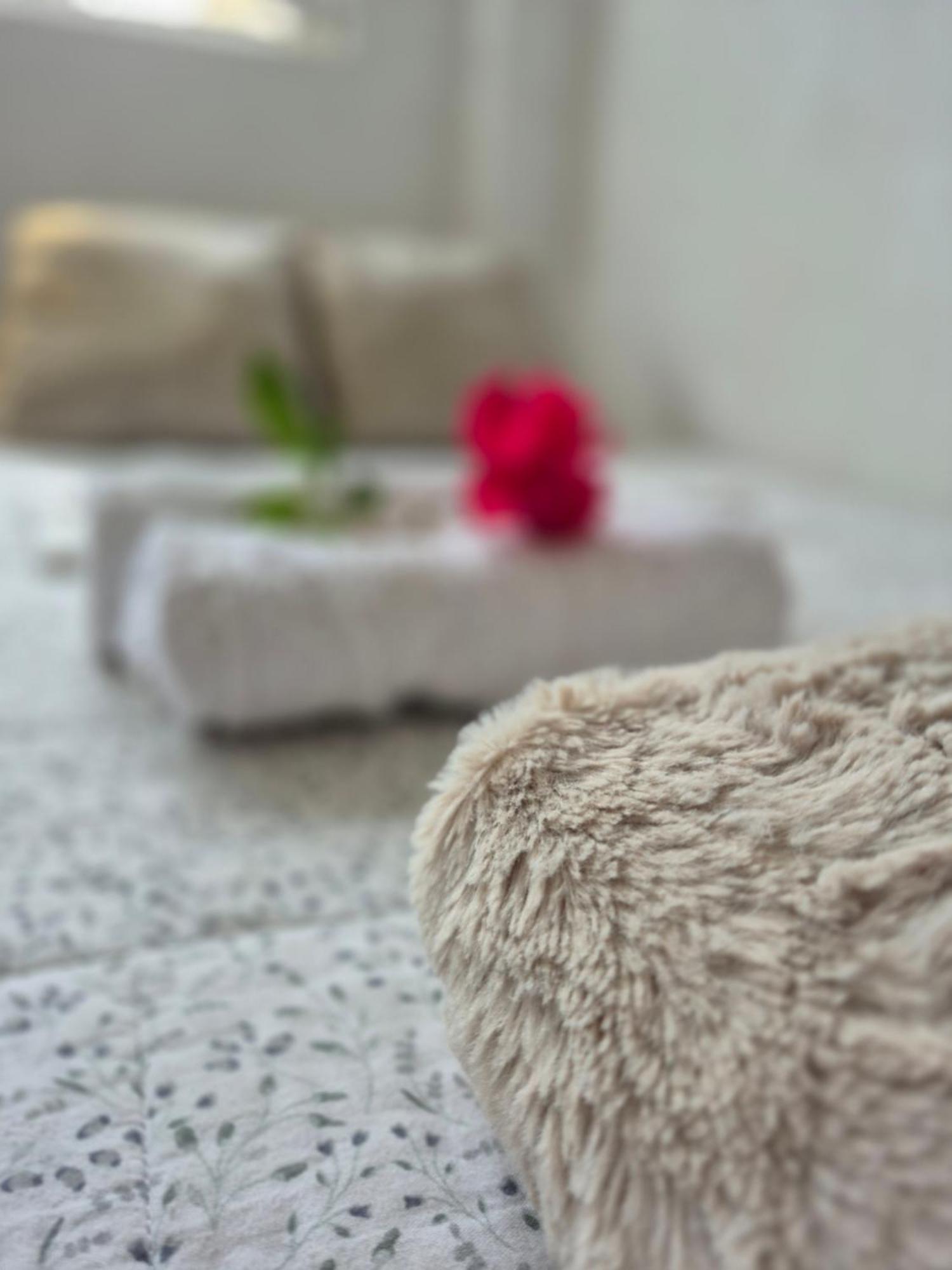 Ideal For Camino Quiet Basic Room Away From Crowds In Private House Zizur Mayor Exterior photo
